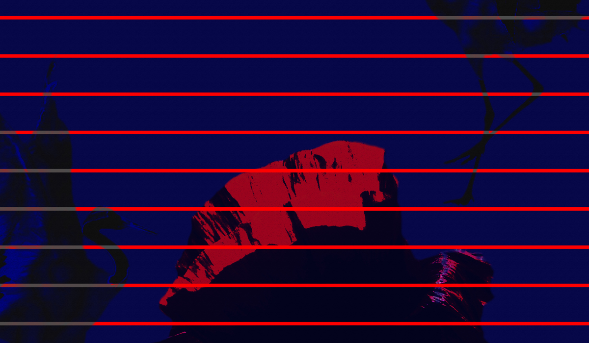 marzia-ricci-macro0-thecoloursoup