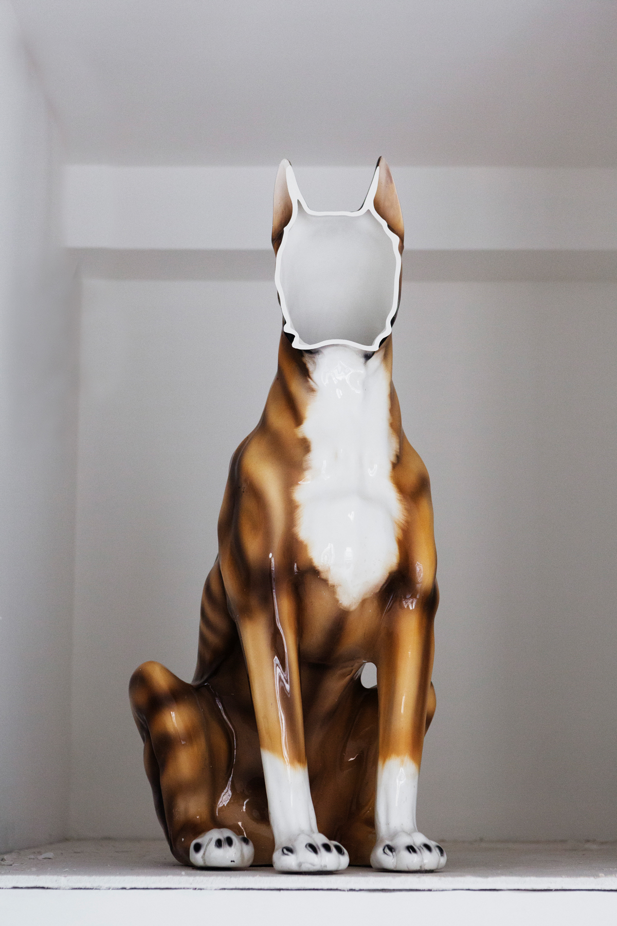 Studio-nucleo_Boolean_Marzia-Ricci_OR_Dog